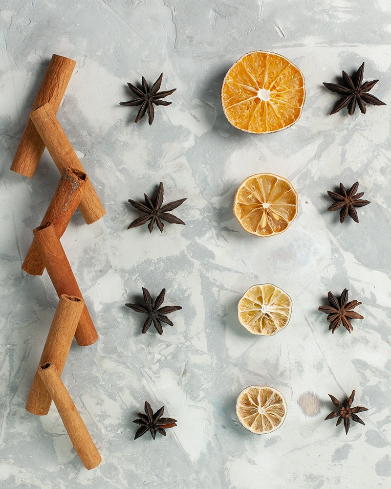 Neden Koku? Çünkü Neden Olmasın?